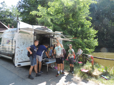                                                                                                                                 