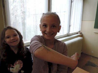                                                                                                                                 