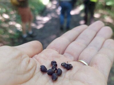 20240615_145414_1080