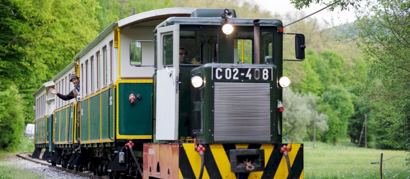 Ehető Erdő Szeleta Szerelvény gasztroexpressz