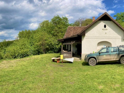 240427_Foto_Budai Roxana