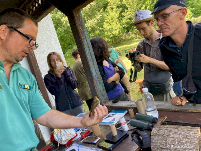 ELTEvedtek_Budai Roxana