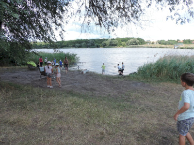                                                                                                                                 