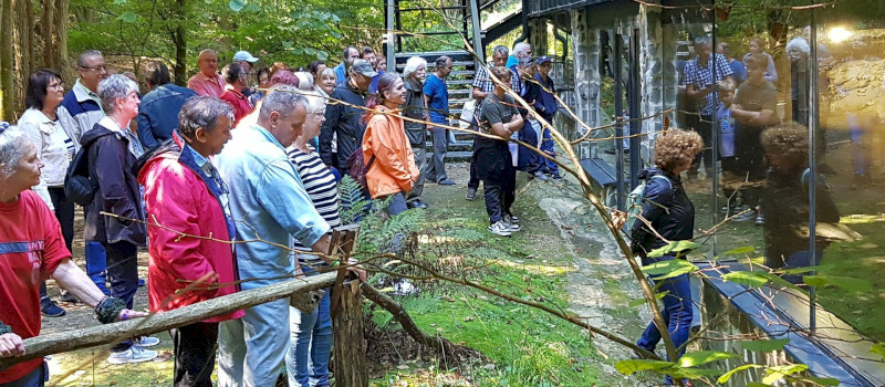 Föld napi barangolás a Miocén Ősvilágban