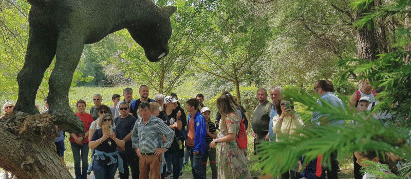 Föld napi miocén ősvilági túra