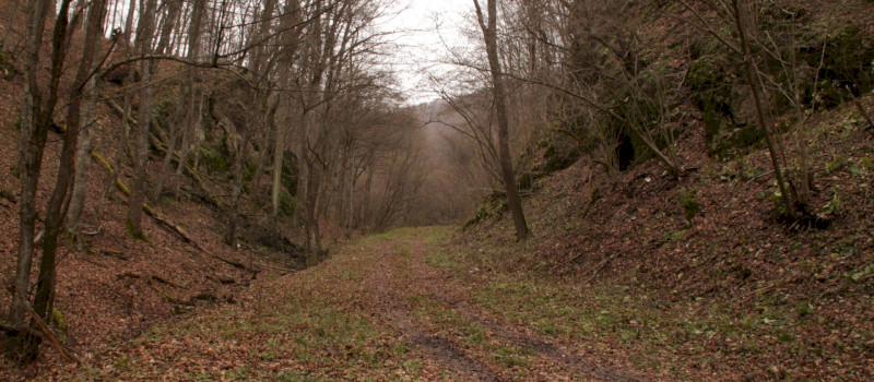 Földtani barangolások3_Kép_Veress Zsolt(1)