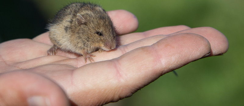 Fotó_Hák_Flóra_2024