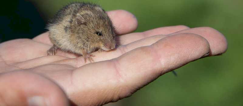 Fotó_Hák_Flóra_2024