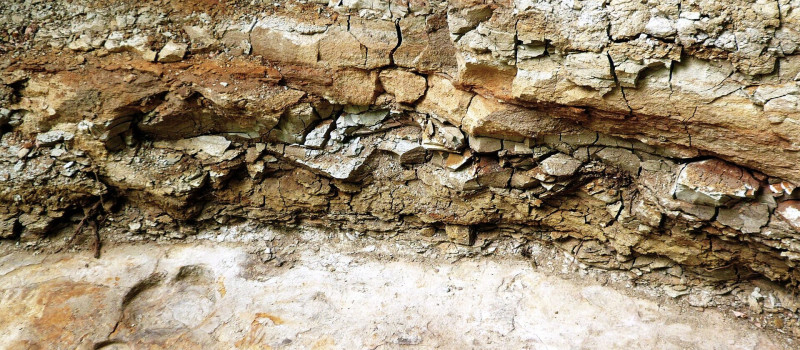 Geotóp és Földtani Sokszínűség napja a miocén parkban