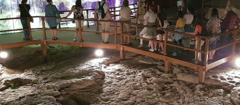 Geotóp és Földtani Sokszínűség napja a miocén parkban