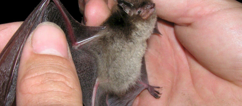 horgasszoru_cszs_1920