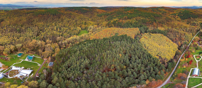 Húsvétolás az Ősmaradványoknál