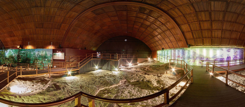 Időséta az Ősmaradványoknál