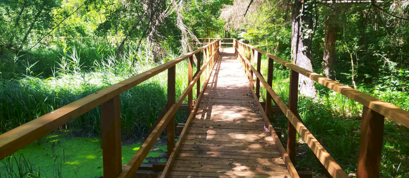 IMG_20250703_125610_1920