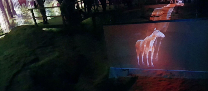 Ipolytarnoc_szellemkep_nagycsarnokban