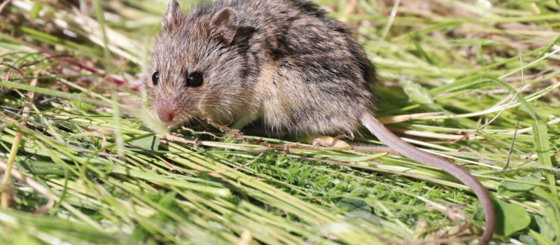 Kozma Attila_K_A_6333 (2)