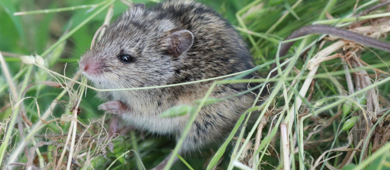 Kozma Attila_K_A_6622 (2)