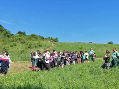 441057148_342126538915152_5645679381476951735_n