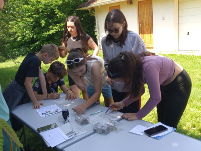 IMG_20240528_113918_778