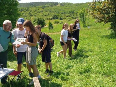 IMG_20240528_114557_303