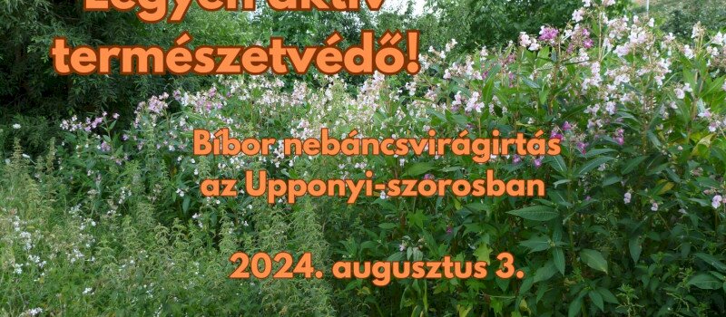 Legyen Ön is aktív természetvédő!