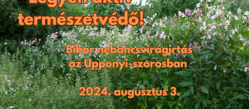 Legyen Ön is aktív természetvédő!