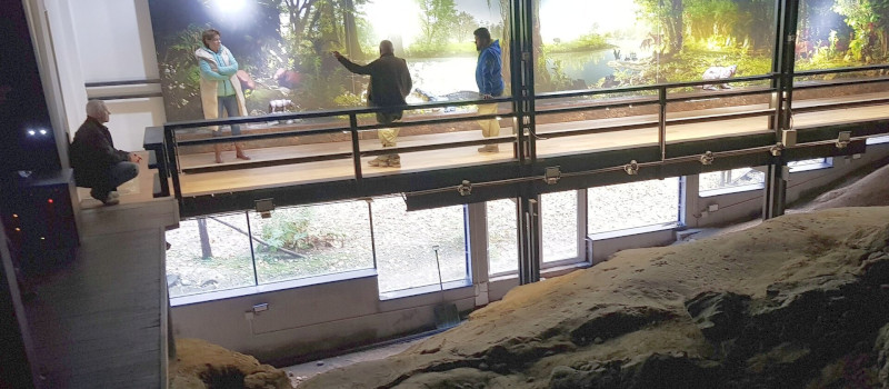Liba napi teszttúra az Ősmaradványoknál