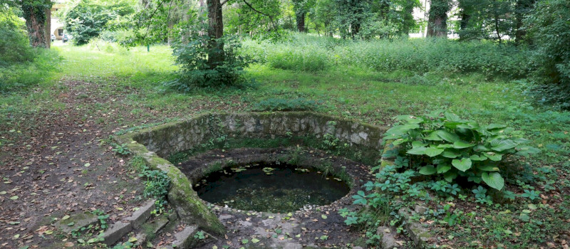 Madárdalos fürdőnéző Kácson - Ahol a források titkokat rejtenek