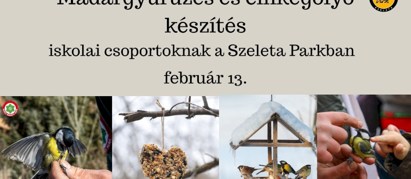 Madárgyűrűzés és cinkegolyó készítés iskolai csoportoknak a Szeleta Parkban