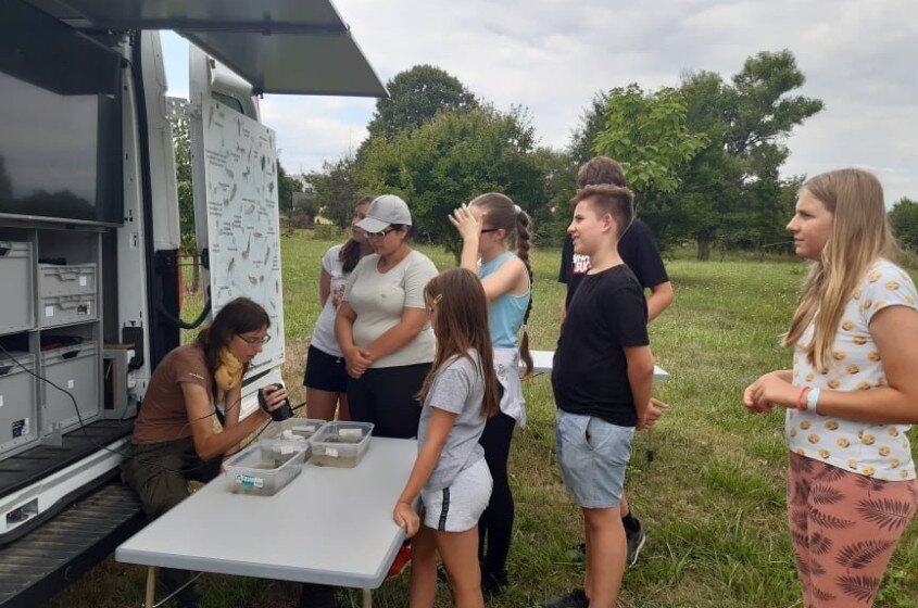 Maruzsi Henrietta - Vasvár Úti Általános Iskola, Ózd