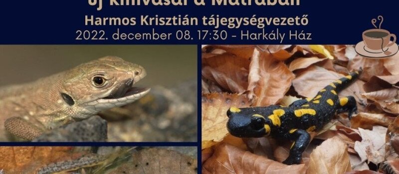 Mátra Kincsei téli előadássorozat - Kétéltűek és hüllők védelmének új kihívásai a Mátrában