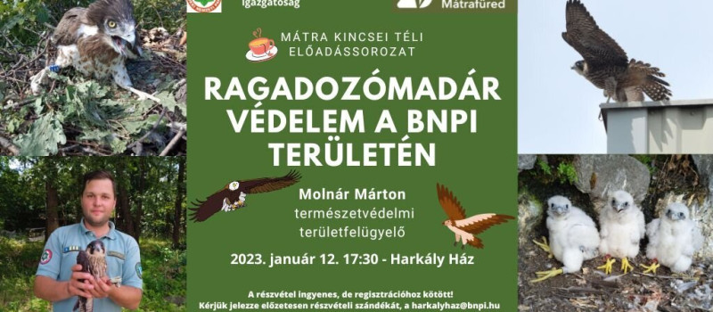 Mátra Kincsei téli előadássorozat - Ragadozómadár-védelem a BNPI területén