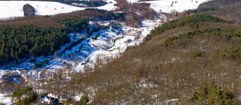 Mesél a téli erdő a Miocén Parkban