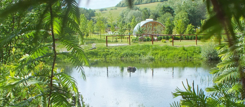 Miocén Ősvilági Túra Augusztusban