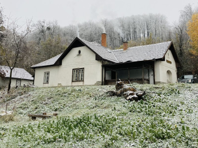 Photo_14-11-2024__13_58_41_1920