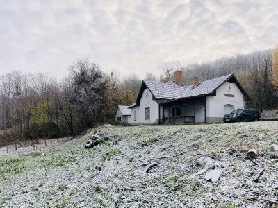 Photo_15-11-2024__07_28_08_1920