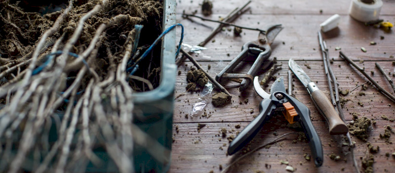 Őrizzük meg régi gyümölcsfajtáinkat – Újra oltónapok a Bükki Nemzeti Park Igazgatóságnál