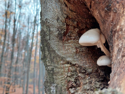 312463110_1077566779608507_8522582477287887971_n