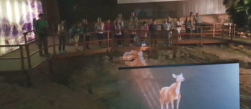 Ősvilági túra a MIocén Parkban