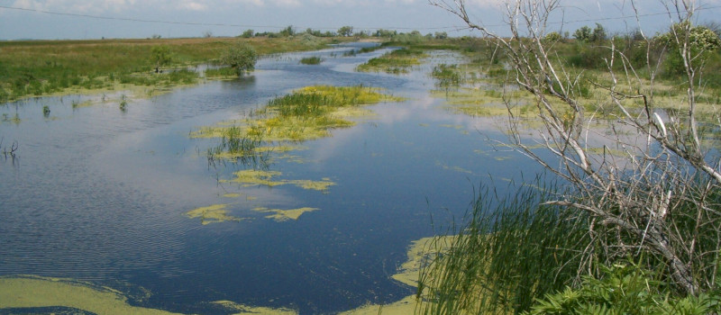 PA_vizes_elohely_BMTK