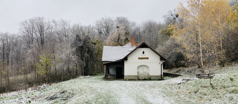 Photo_14-11-2024__10_04_29_1920