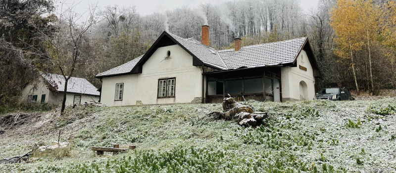 Photo_14-11-2024__13_58_41_1920