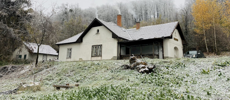 Photo_14-11-2024__13_58_41_1920