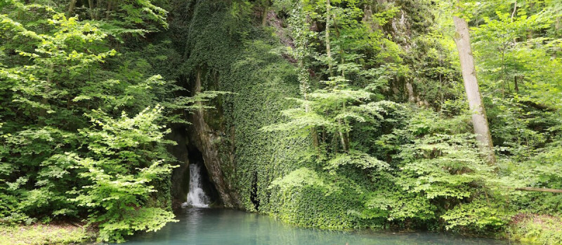 Szikla-forrás_Kozma Attila