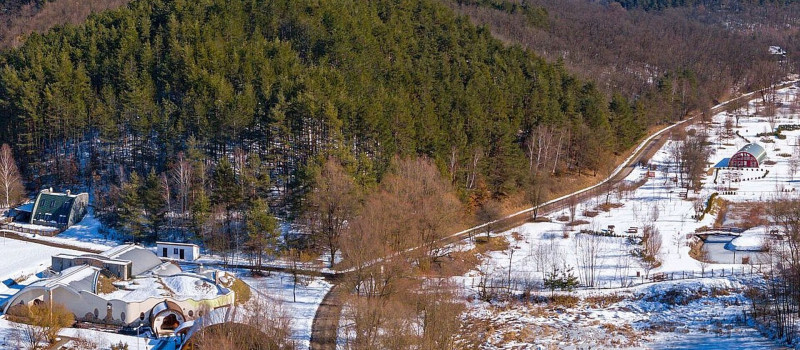 Szilveszteri időutazás a miocén ősvilágba