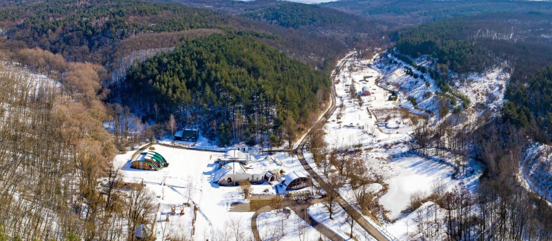 Szilveszteri időutazás a trópusi miocén ősvilágba
