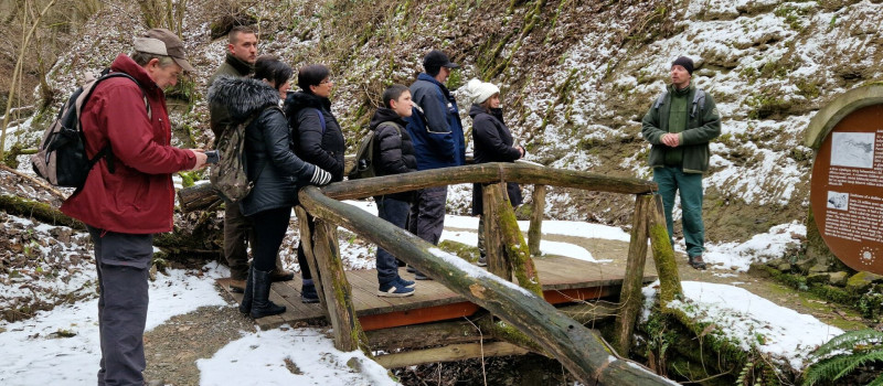 Téli barangolás az egykori trópusokon