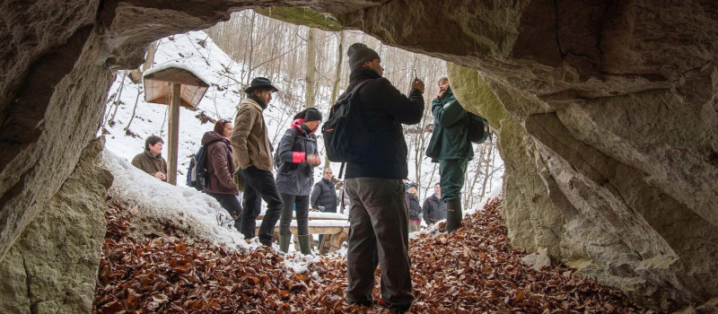 Téli fatörzsbarlang túra a határsávban
