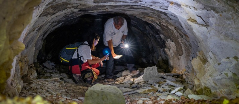 Tematikus fatörzsbarlang túra a Miocén Parkból a felvidéki oldalra