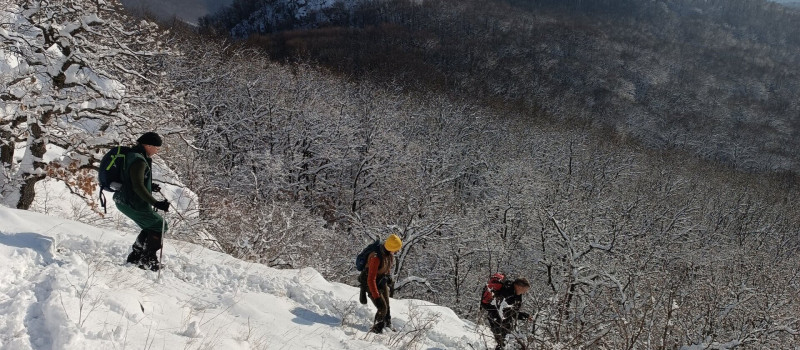 Transzbükki Átkelés 2026/2